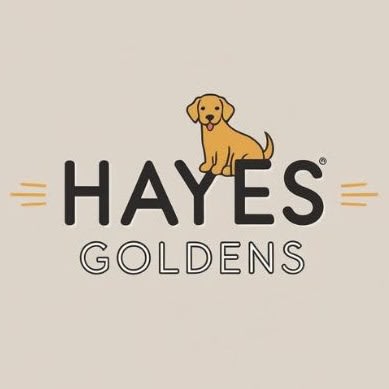 Hayes Goldens