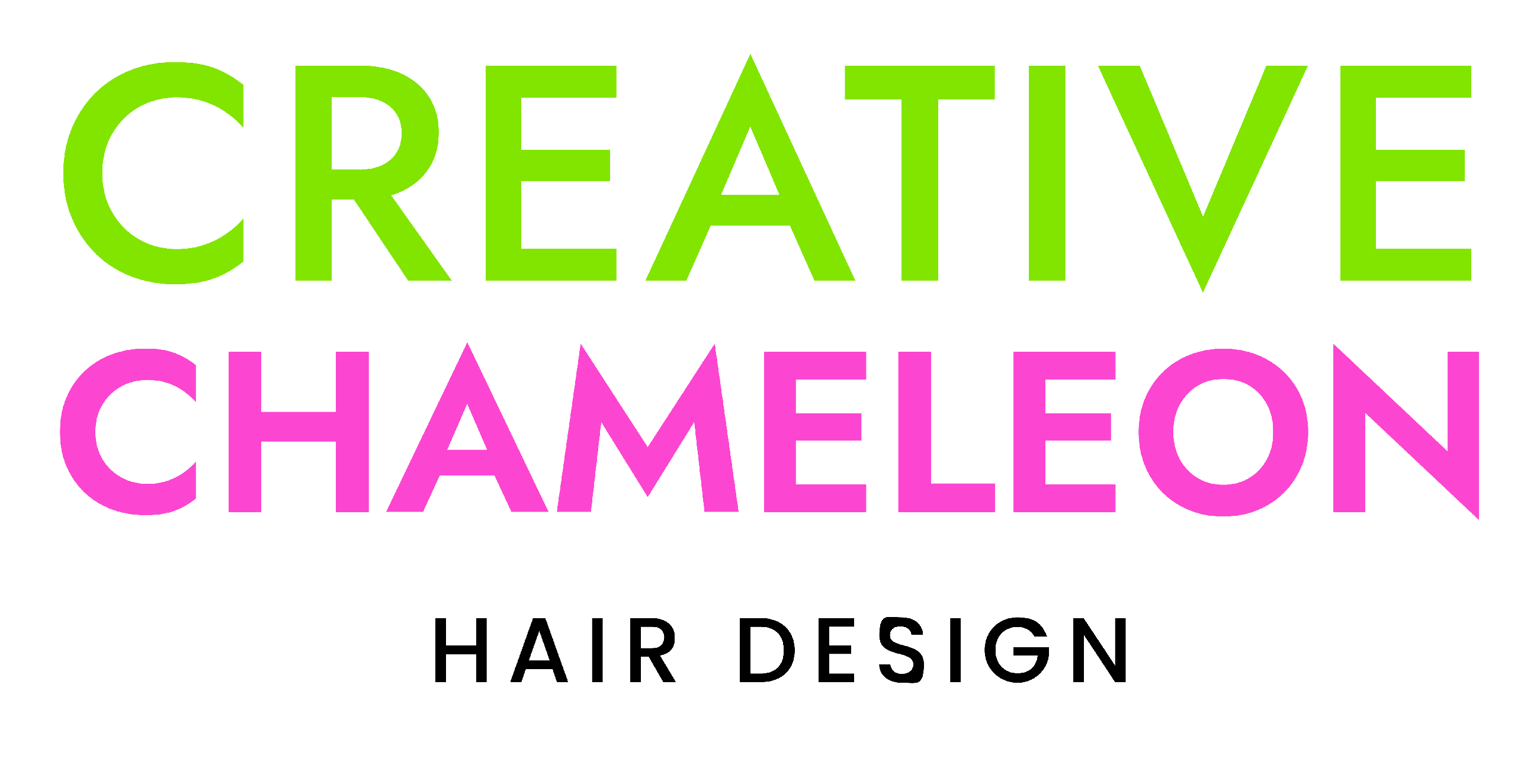 Creative Chameleon Hair Design