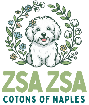 Zsa Zsa Cotons of Naples