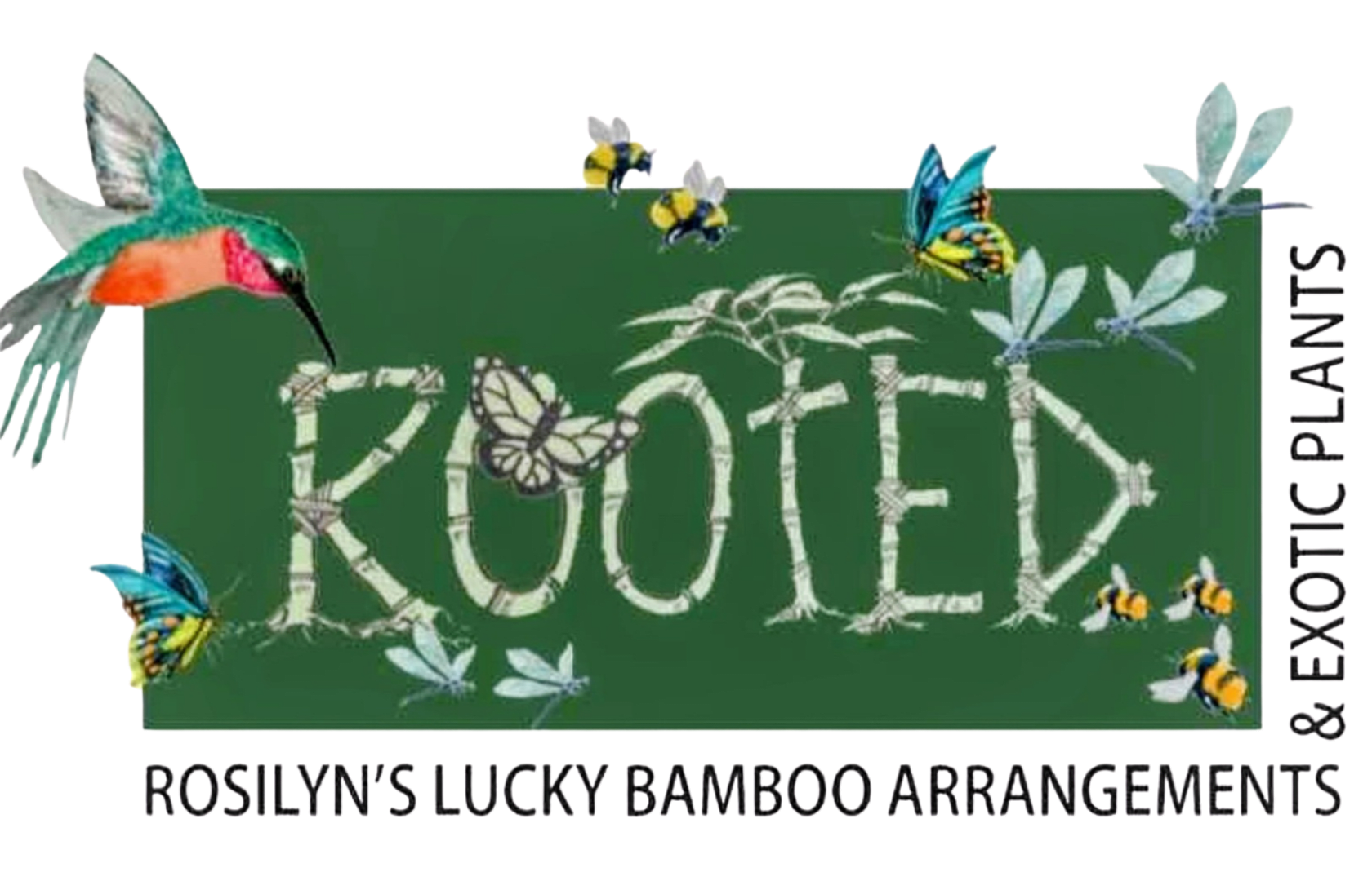 Rooted Rosilyn's Lucky Bamboo Arrangement & Exotic Plants