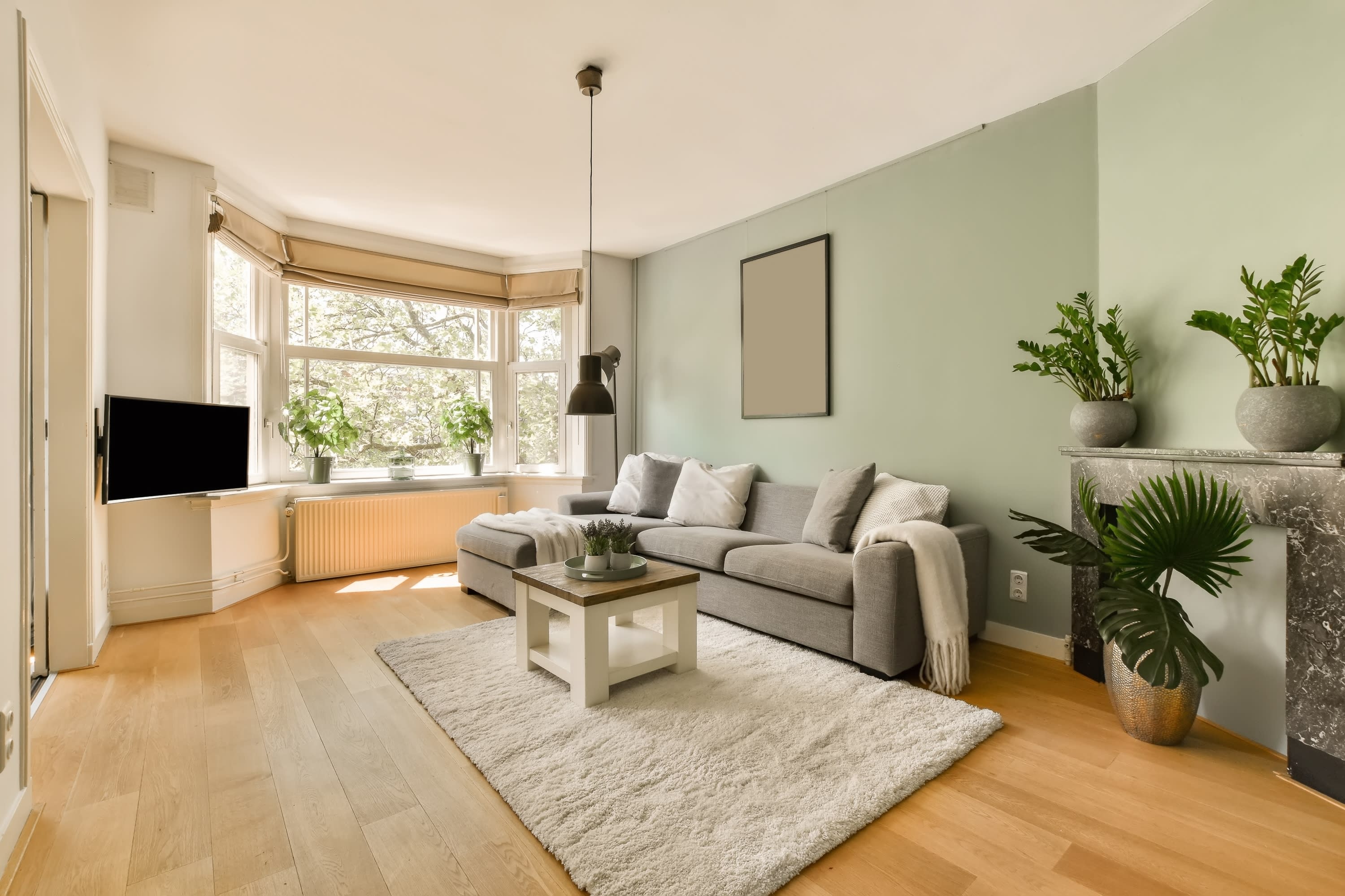 Pro Paint Services - Business Photo