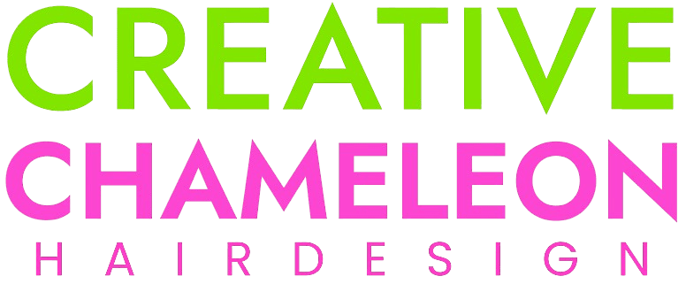 Creative Chameleon Hair Design