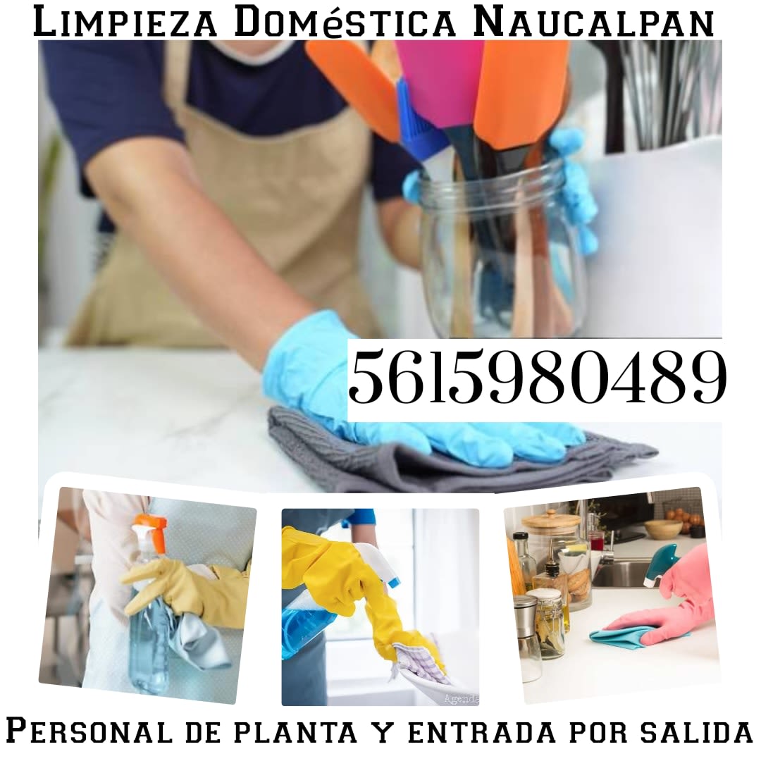 Empleadas Domésticas 5615980489