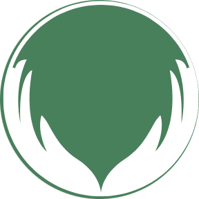 Guided Path Transition Navigation Services, LLC