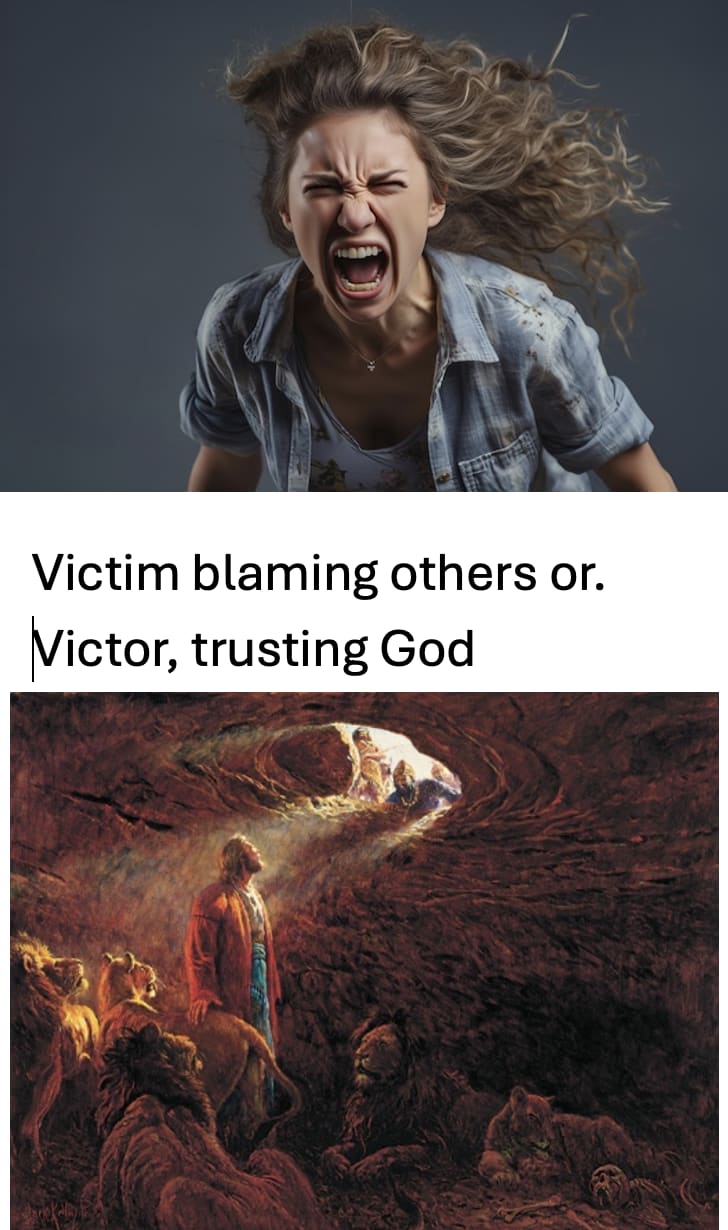 Victim Blame Others