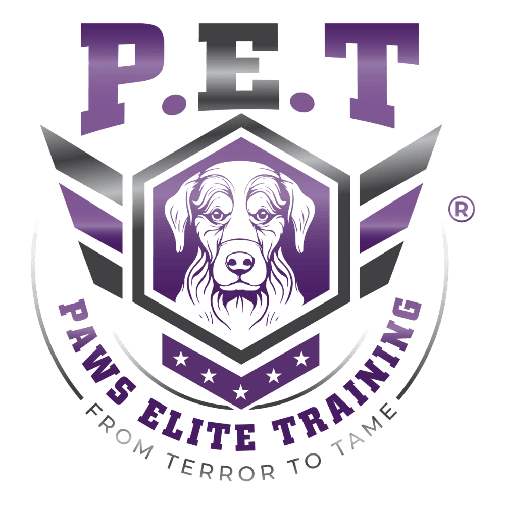 Paws Elite Training