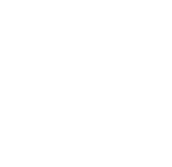 Purple Ribbon Minority Women’s Organization