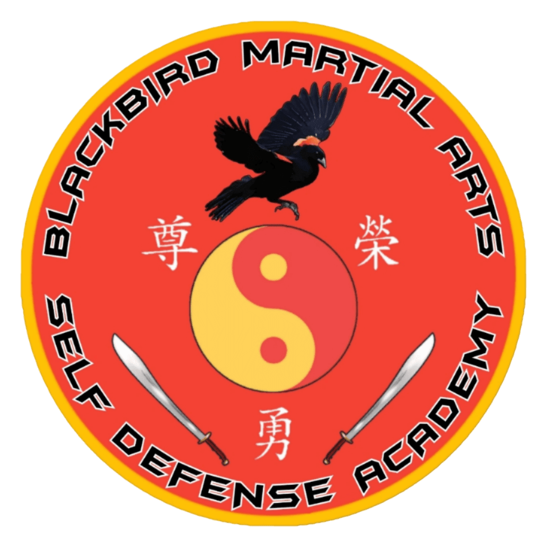 BlackBird Martial Arts and Self Defense Academy