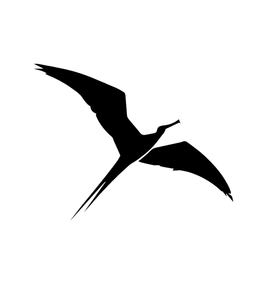 Holokai Ocean Experience