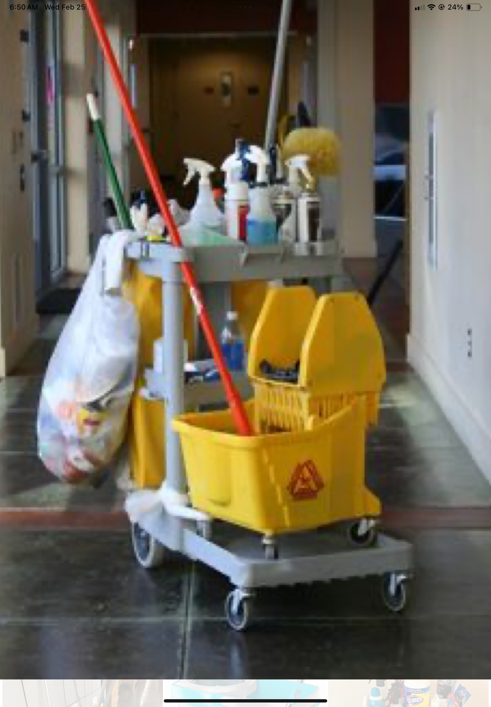 Eco Cleaning and Disinfecting Service