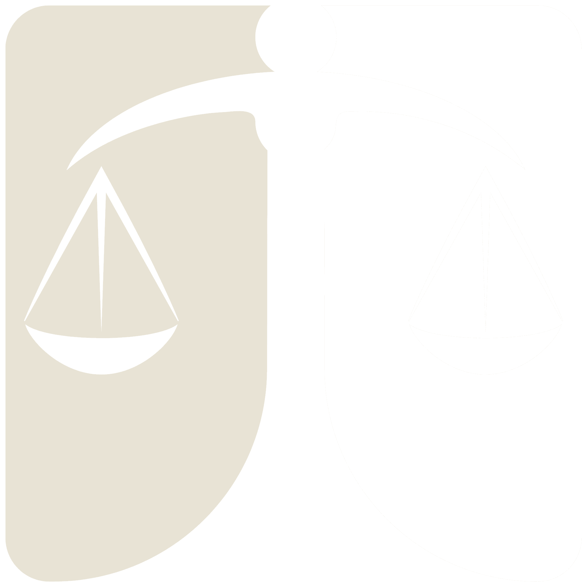 FSM Accounting Group