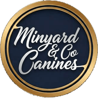 Minyard & Co. Canines
