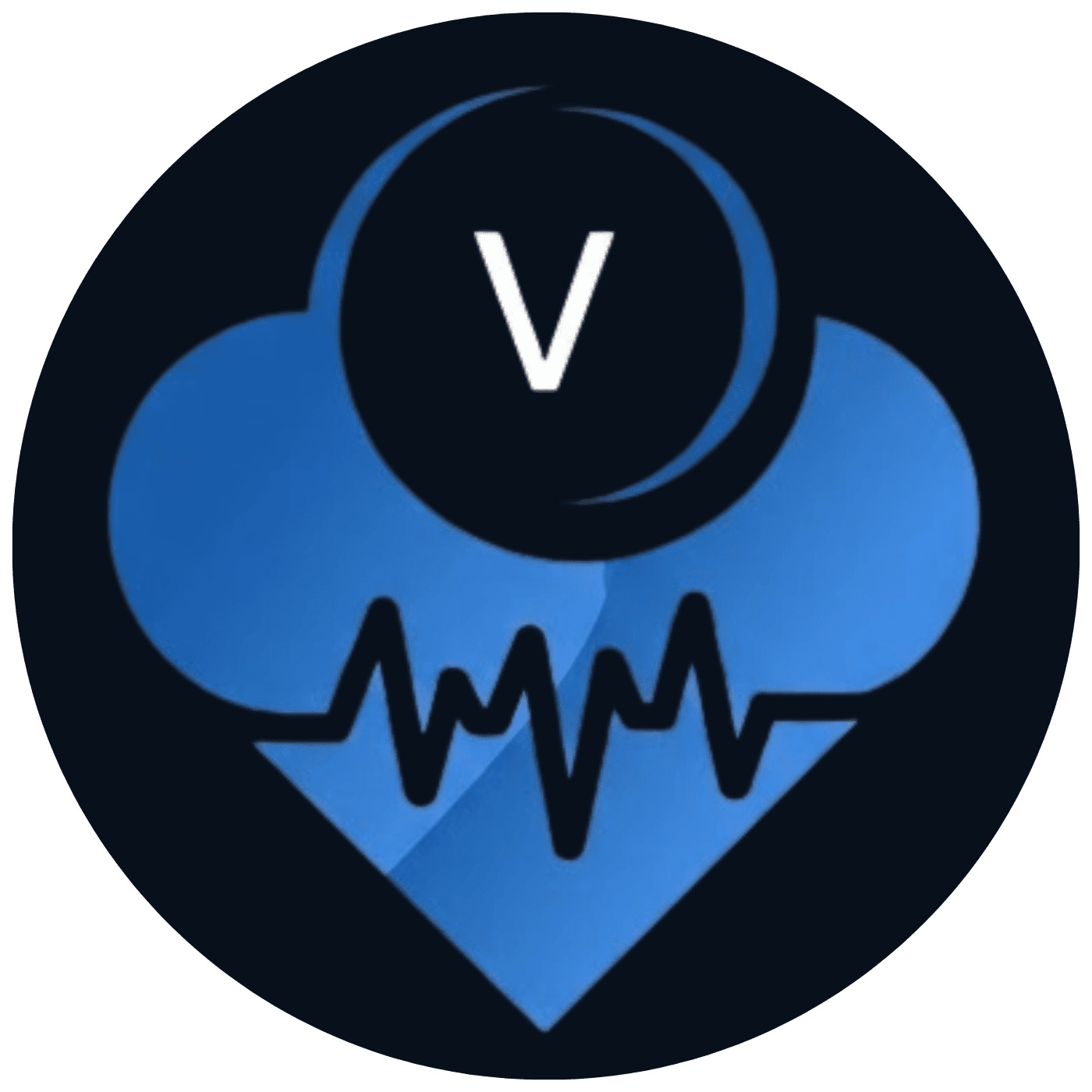 Vital Express-Transport LLC