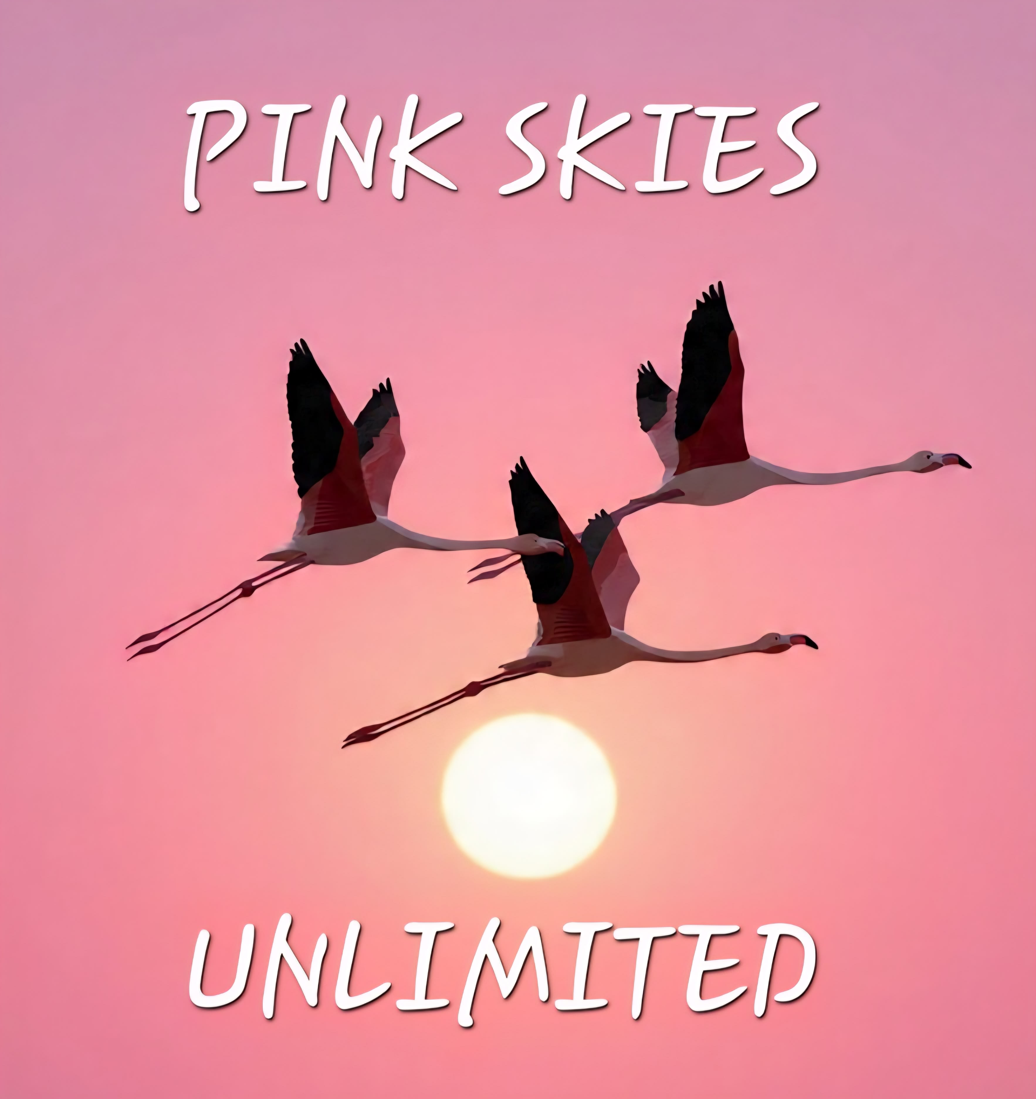 Pink Skies Unlimited