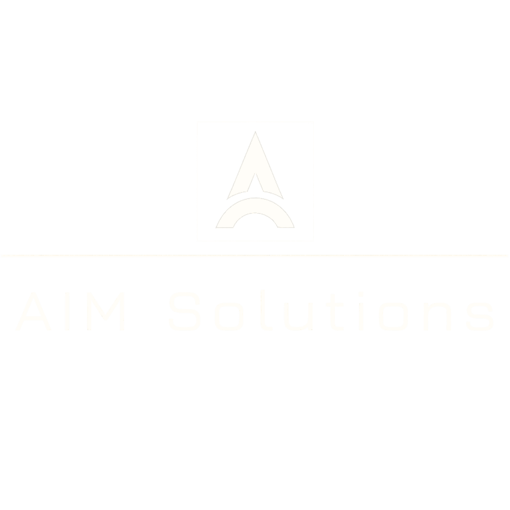 AIM Solutions LLC