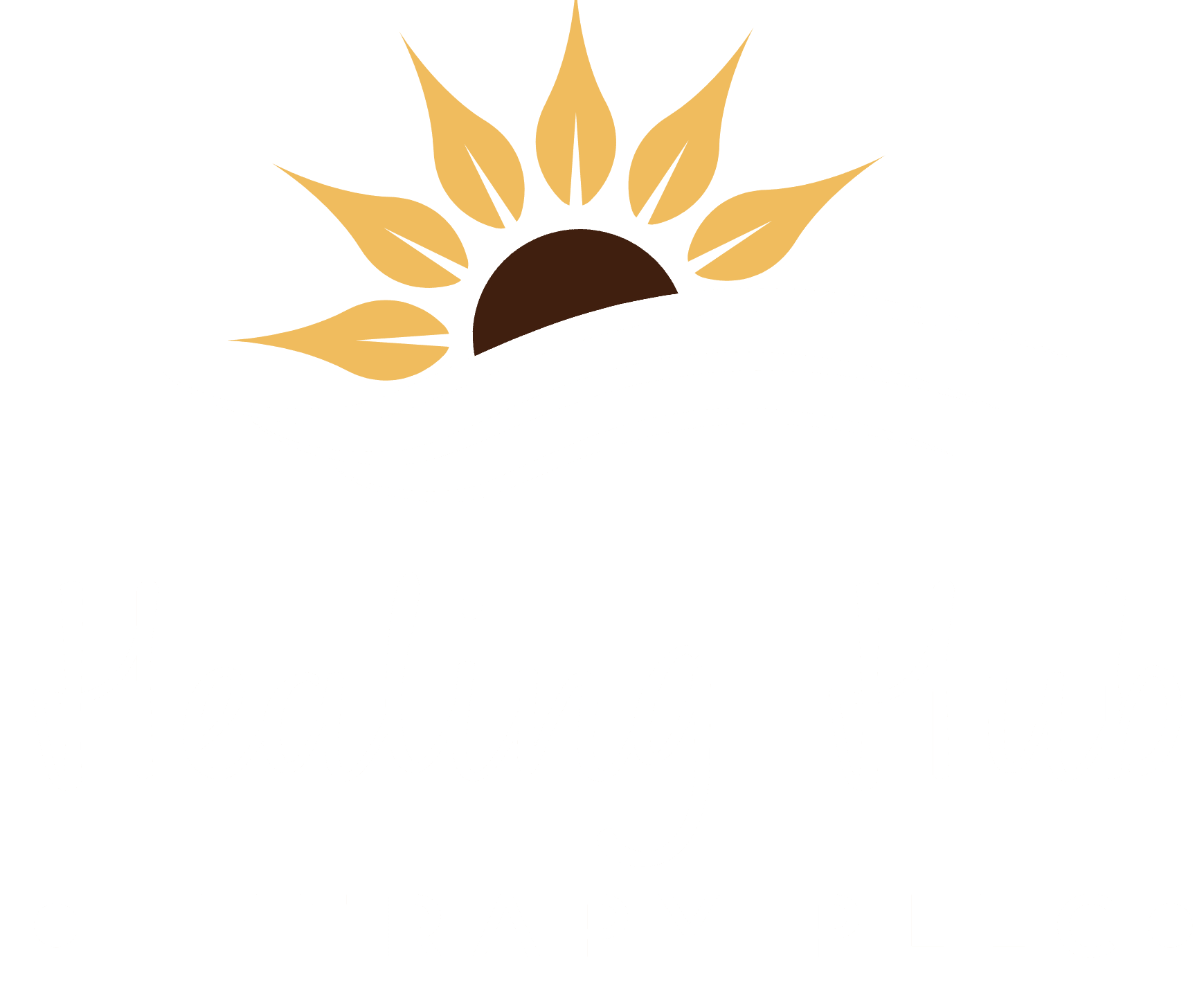 Healing Hub Therapy, PLLC
