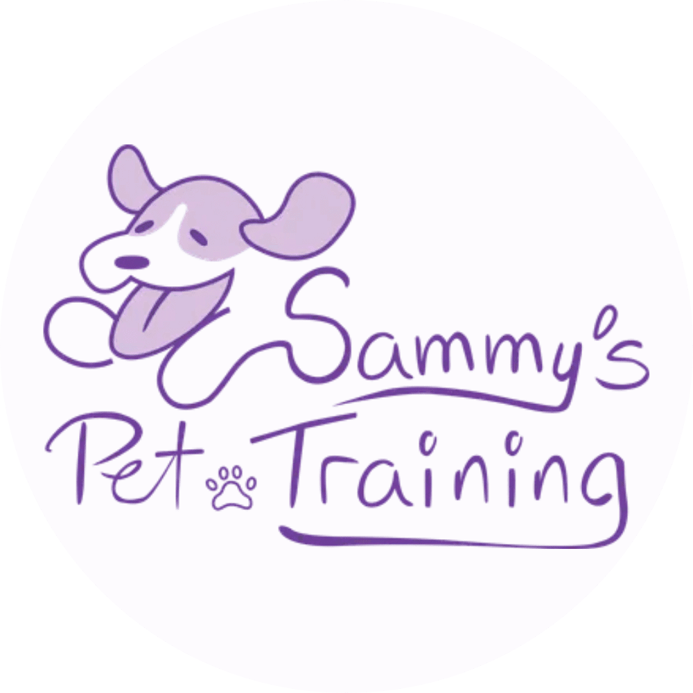 Sammy's Pet Training