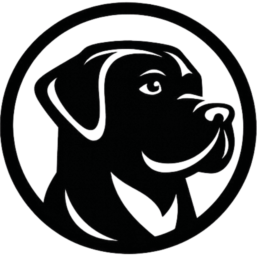 Black Dog Capital Advisors