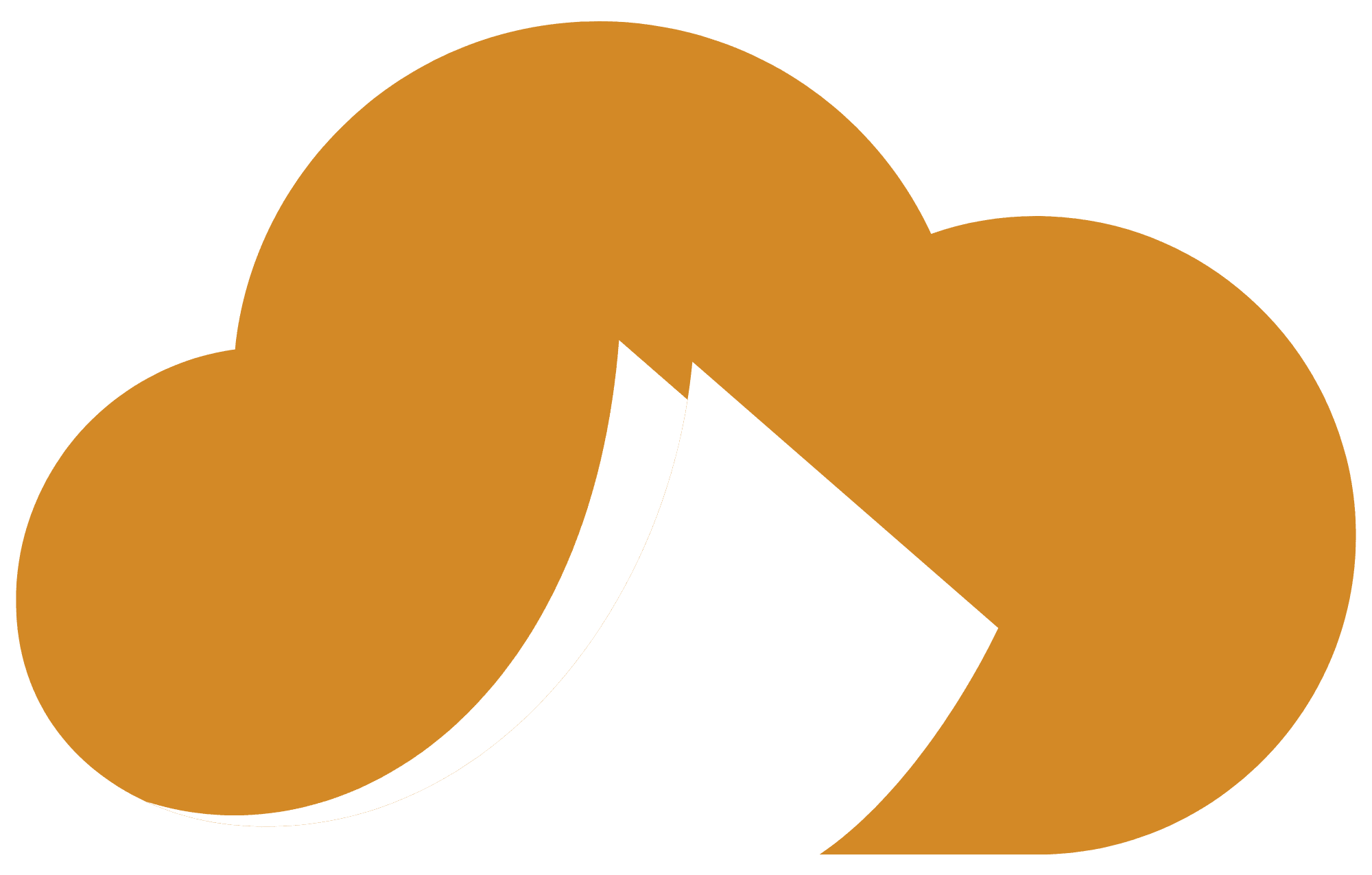 Your Merchant Services and Check Processing Consultants