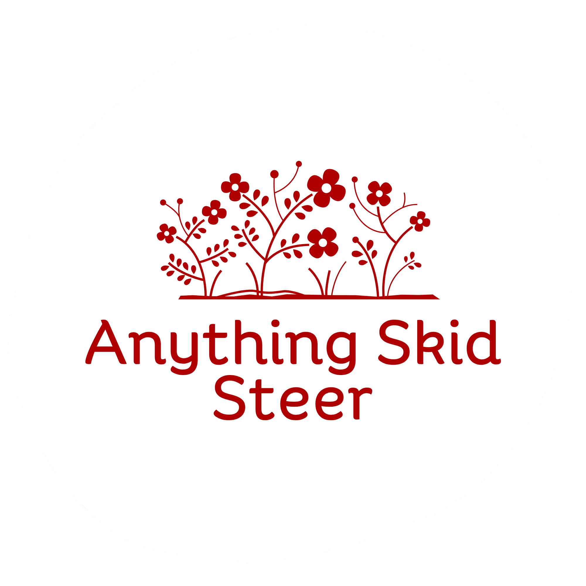Anything Skid Steer