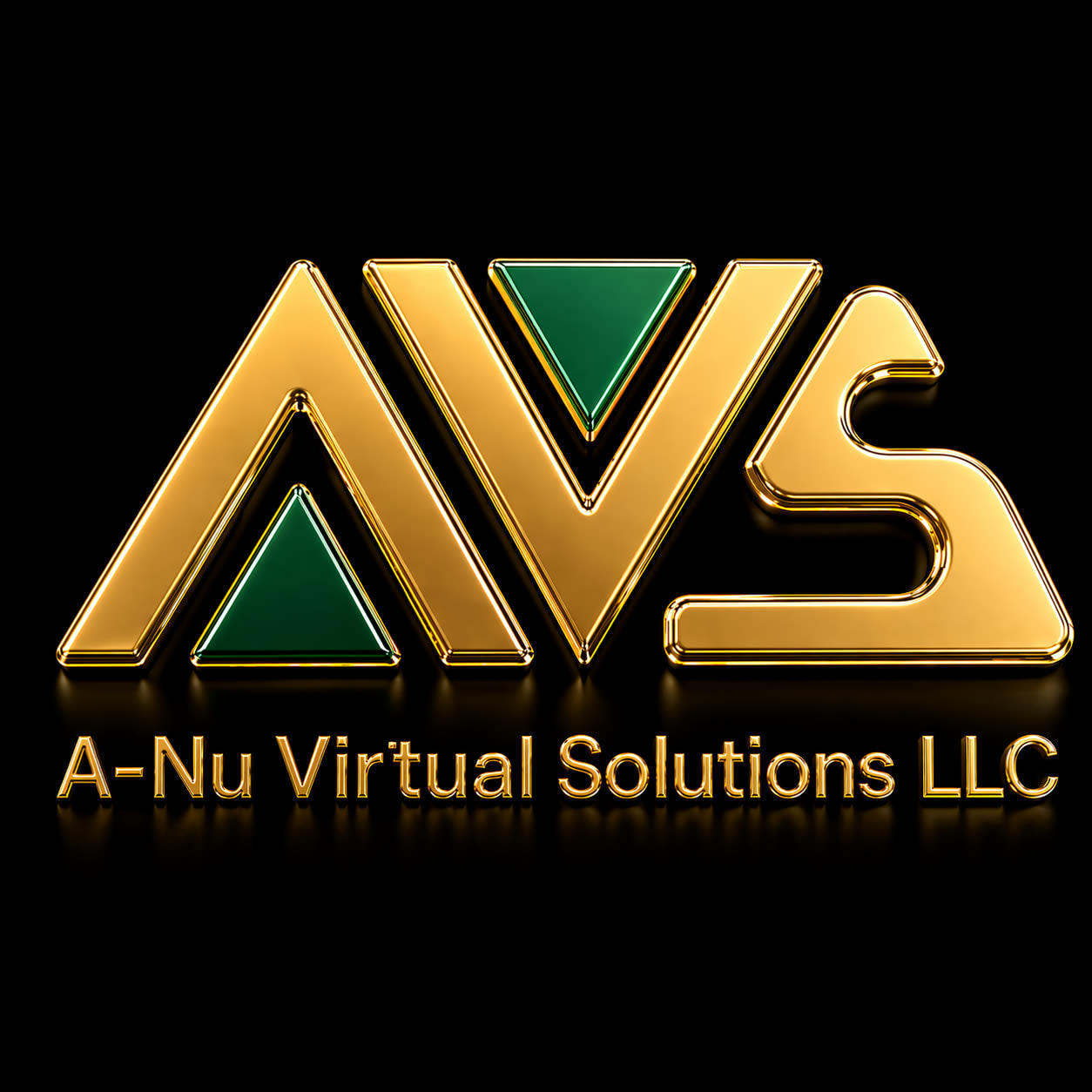 A-NU Virtual Solutions