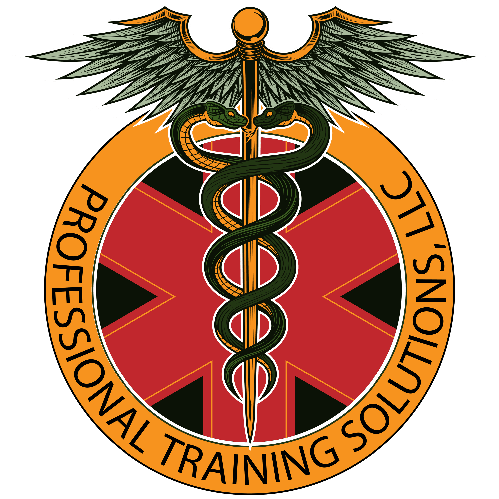 Professional Training Solutions, LLC
