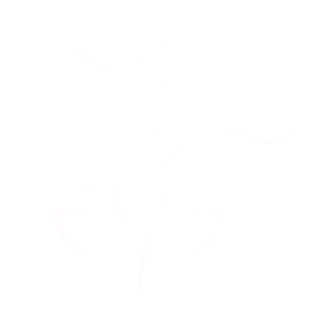 Re-Nu You Spa