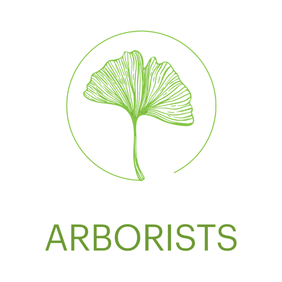 North GA Arborists