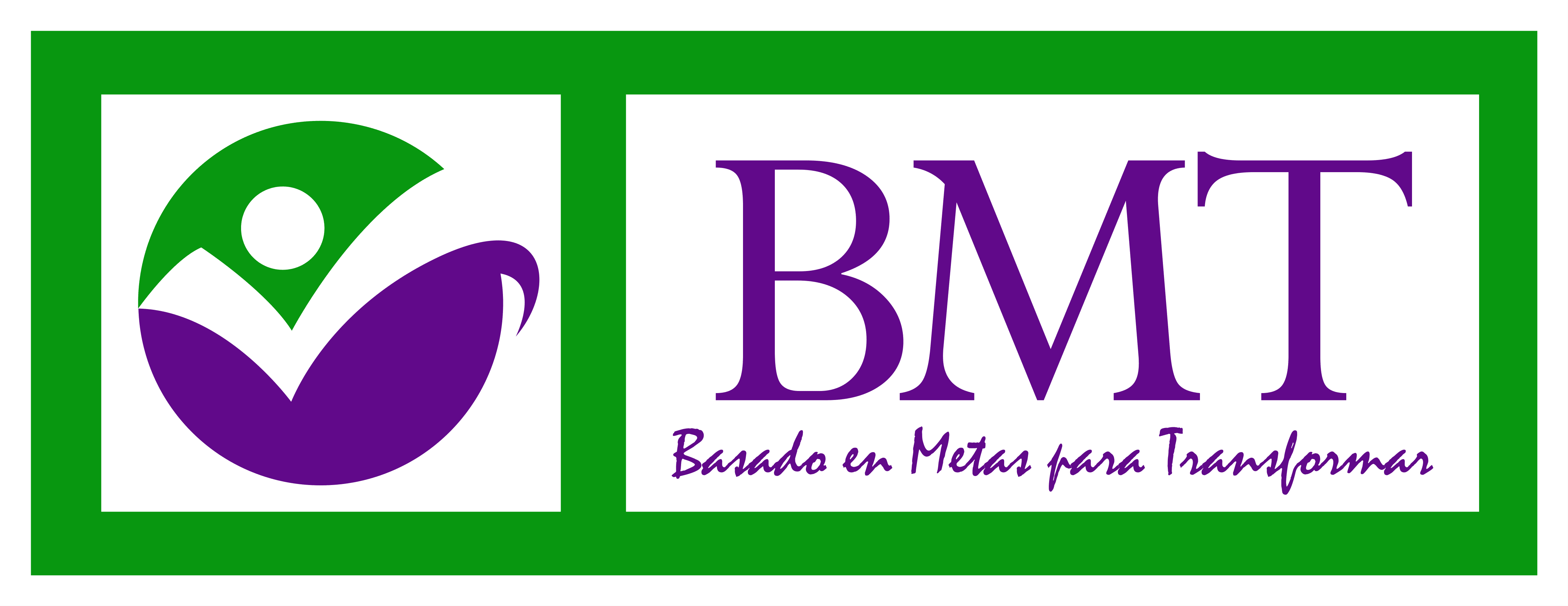 BMT Consultoría y servicios de Capacitación en Estándares de Competencia.