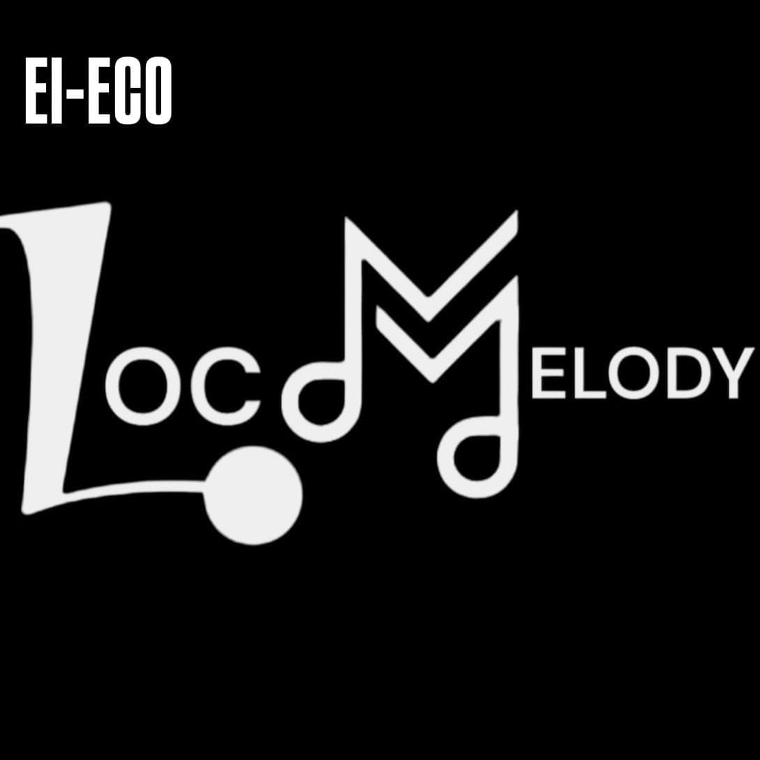 EI-ECO- Loc Extension & Hair Extension Company