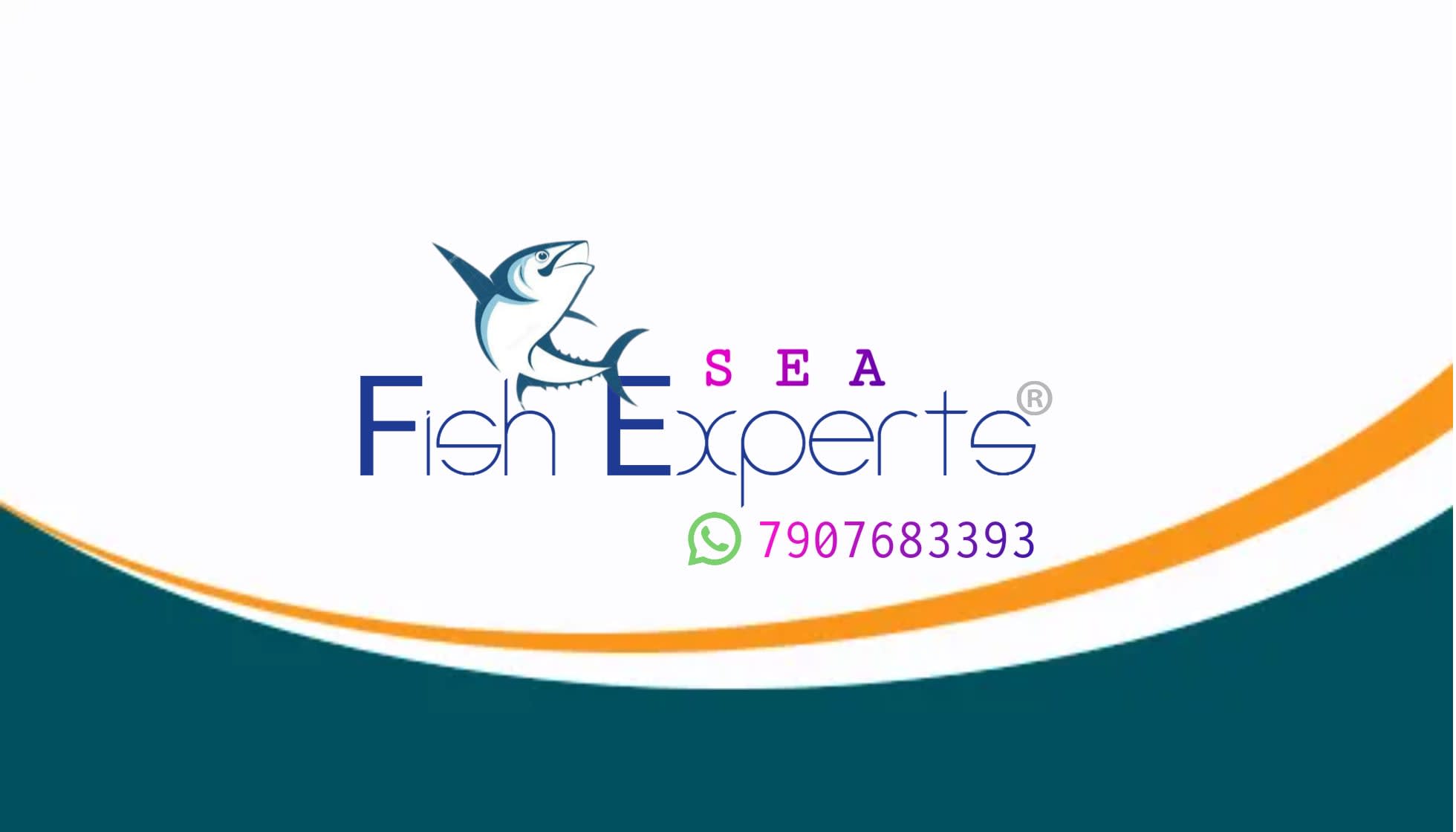 Fish Experts
