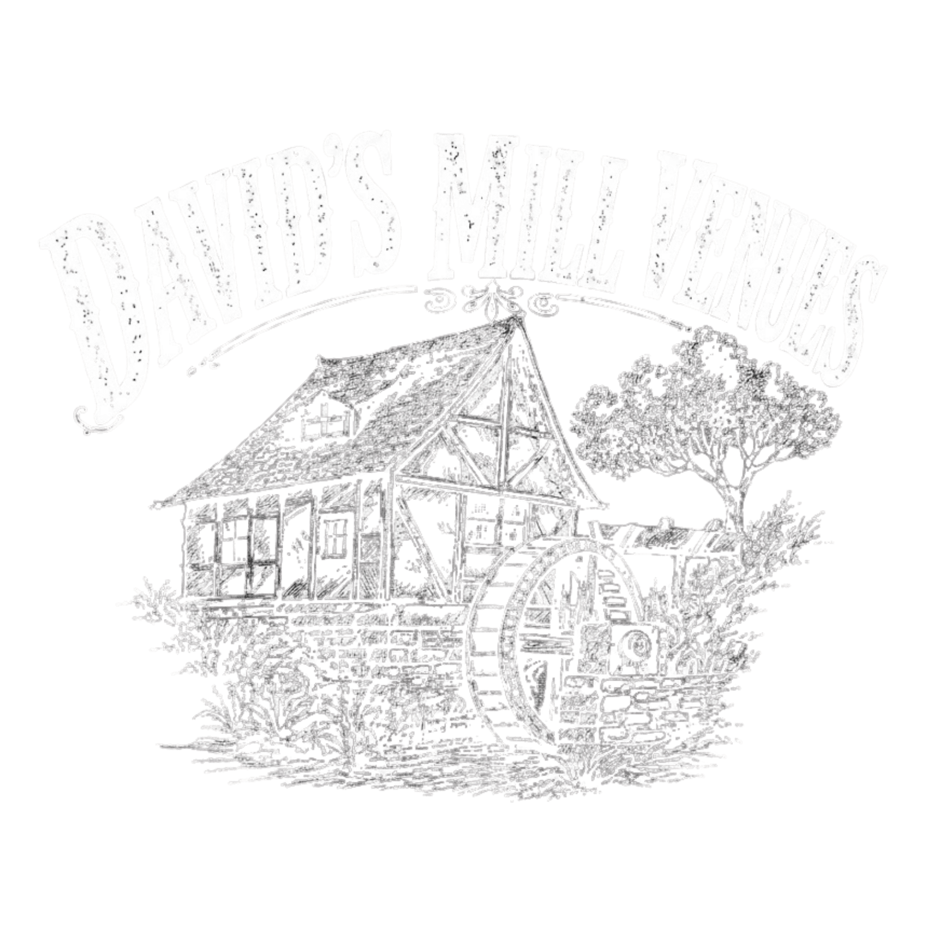 David's Mill Venue