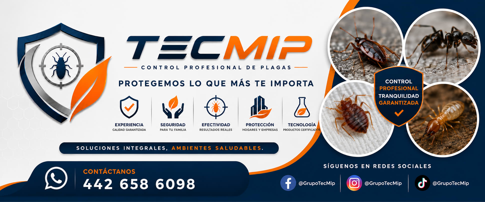 Fumigaciones Queretaro