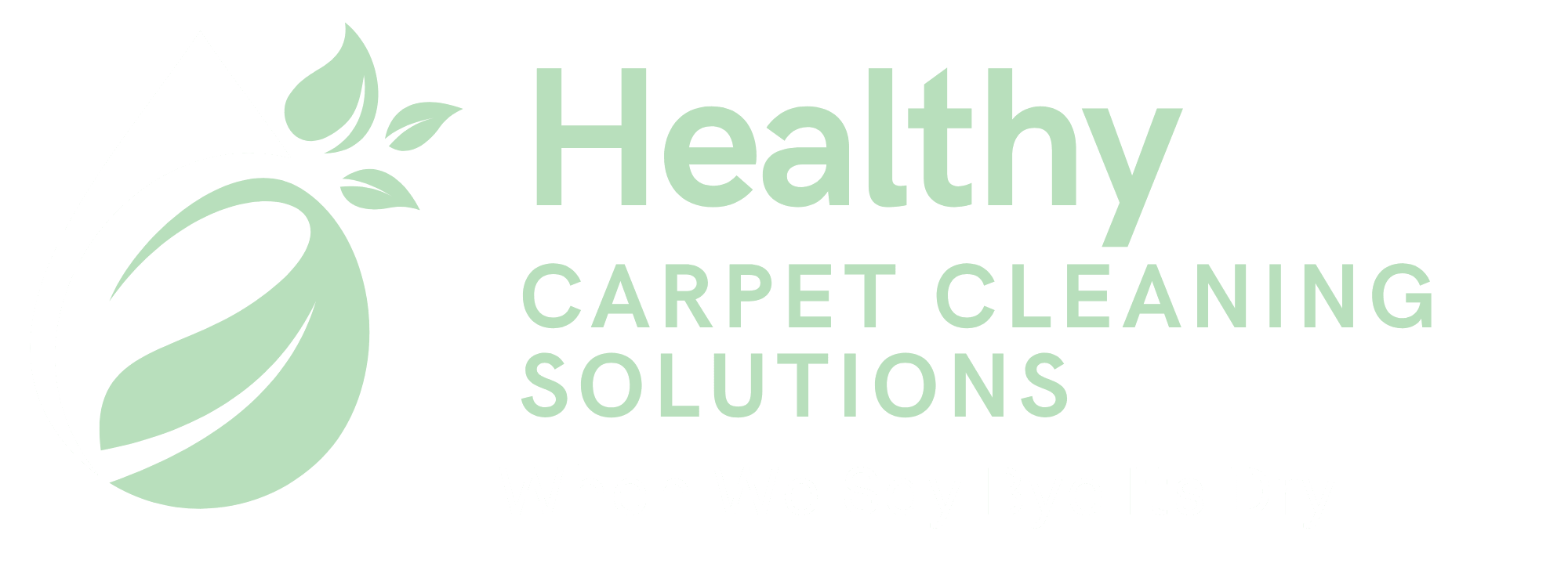 Healthy Carpet Cleaning Solutions