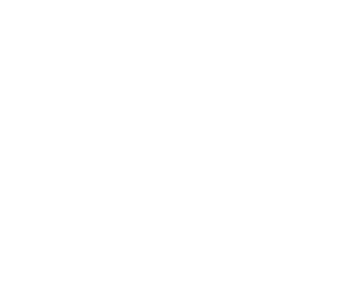 Pathfinder Dog Training
