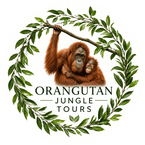 Orangutan Jungle Tours