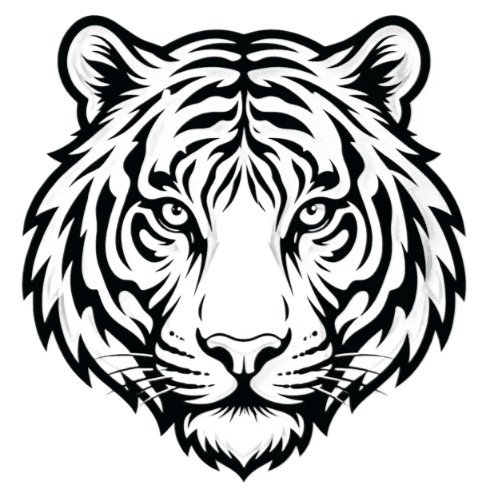 Tiger Group Sw LTD