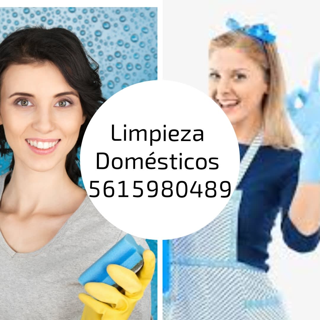 Empleadas Domésticas 5615980489