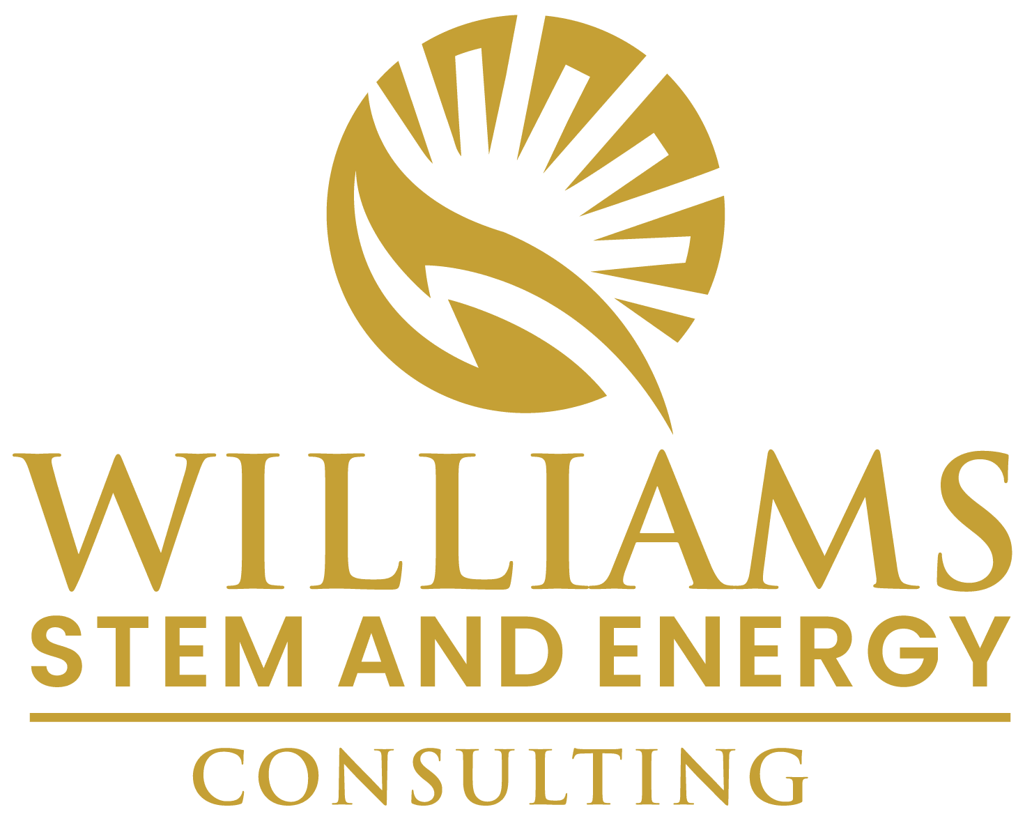 Williams STEM and Energy Consulting, LLC