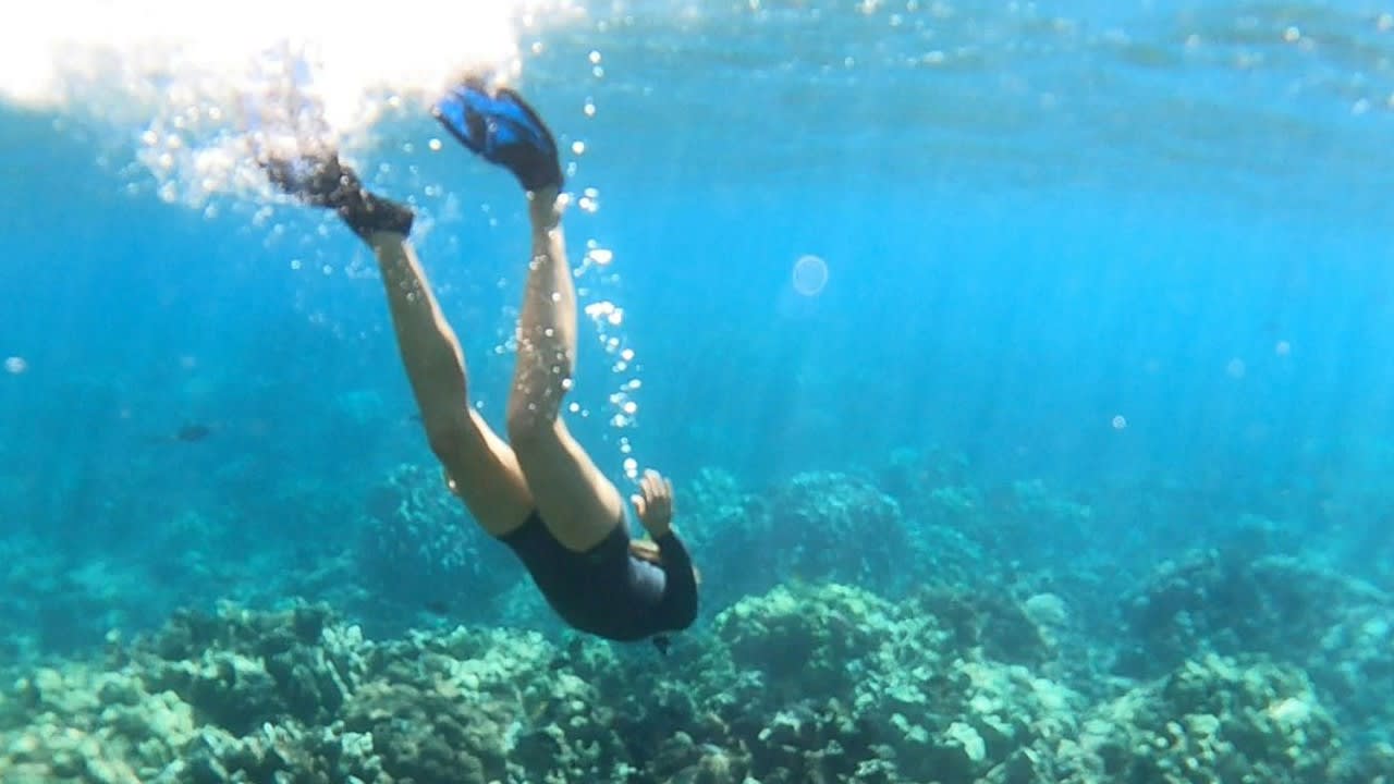 Snorkeling in the clear waters and beautiful reefs off the island of Maui