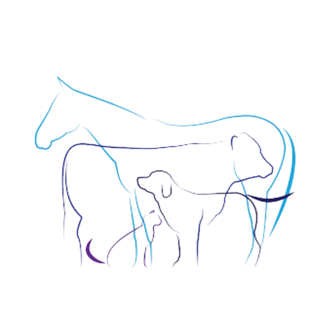 Wayne Veterinary Clinic