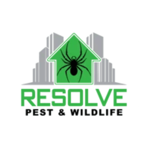 Resolve Pest & Wildlife