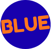 BM Blue Operational Group, LLC