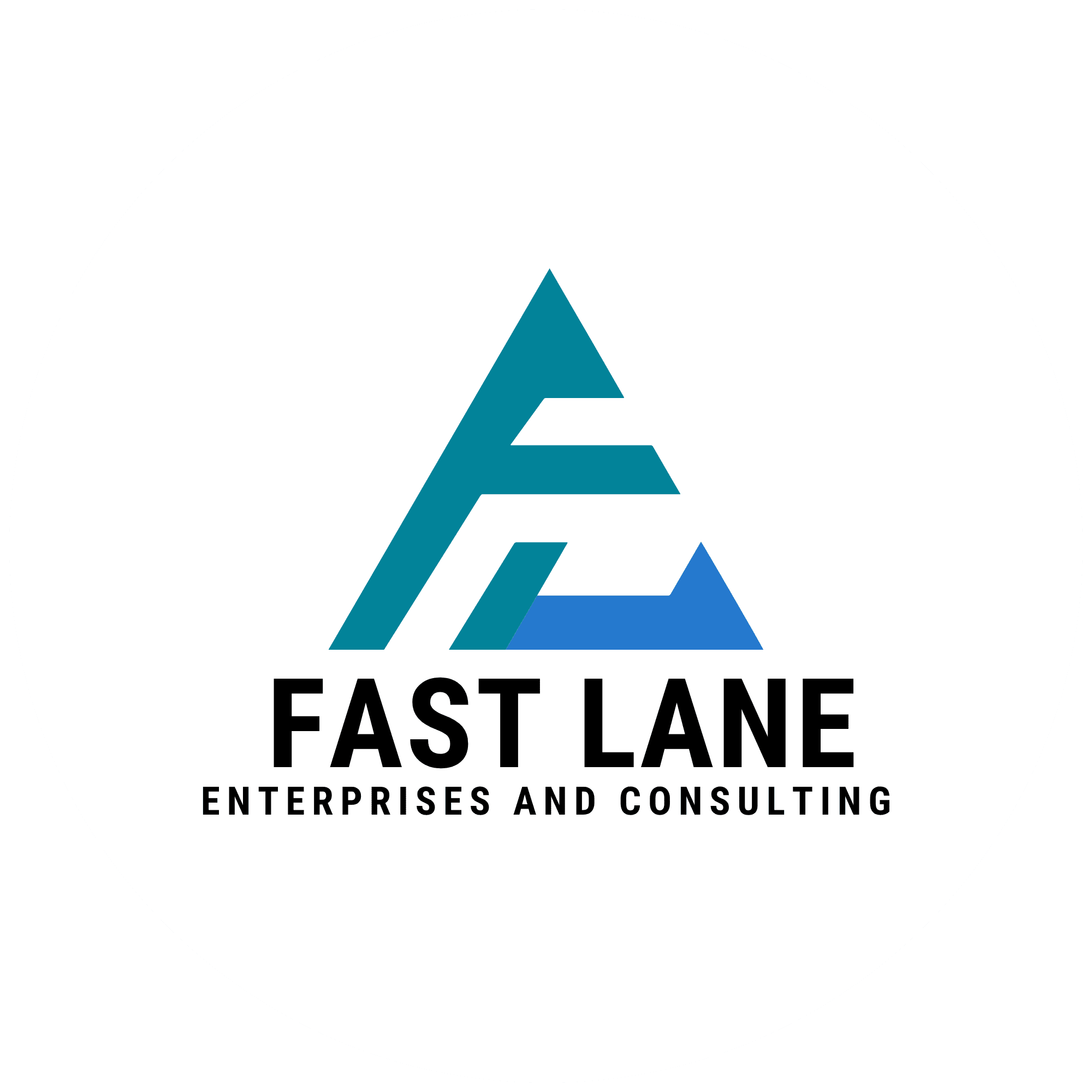 Fast Lane Enterprises and Consulting, LLC