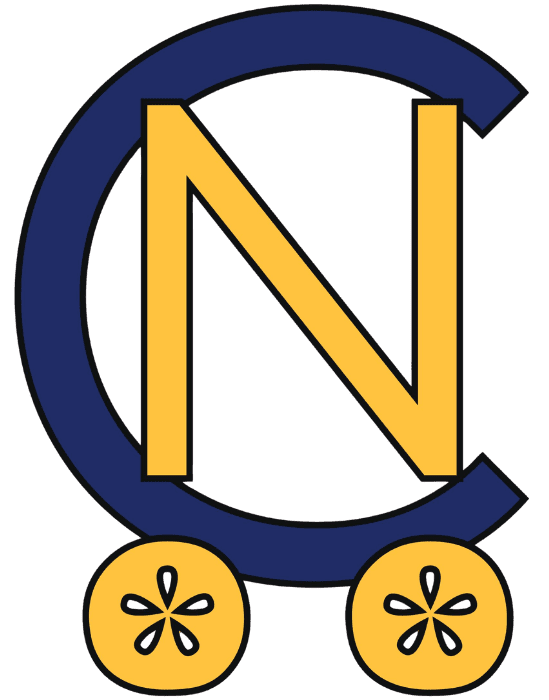Coastal Nurse Lice Removal, LLC