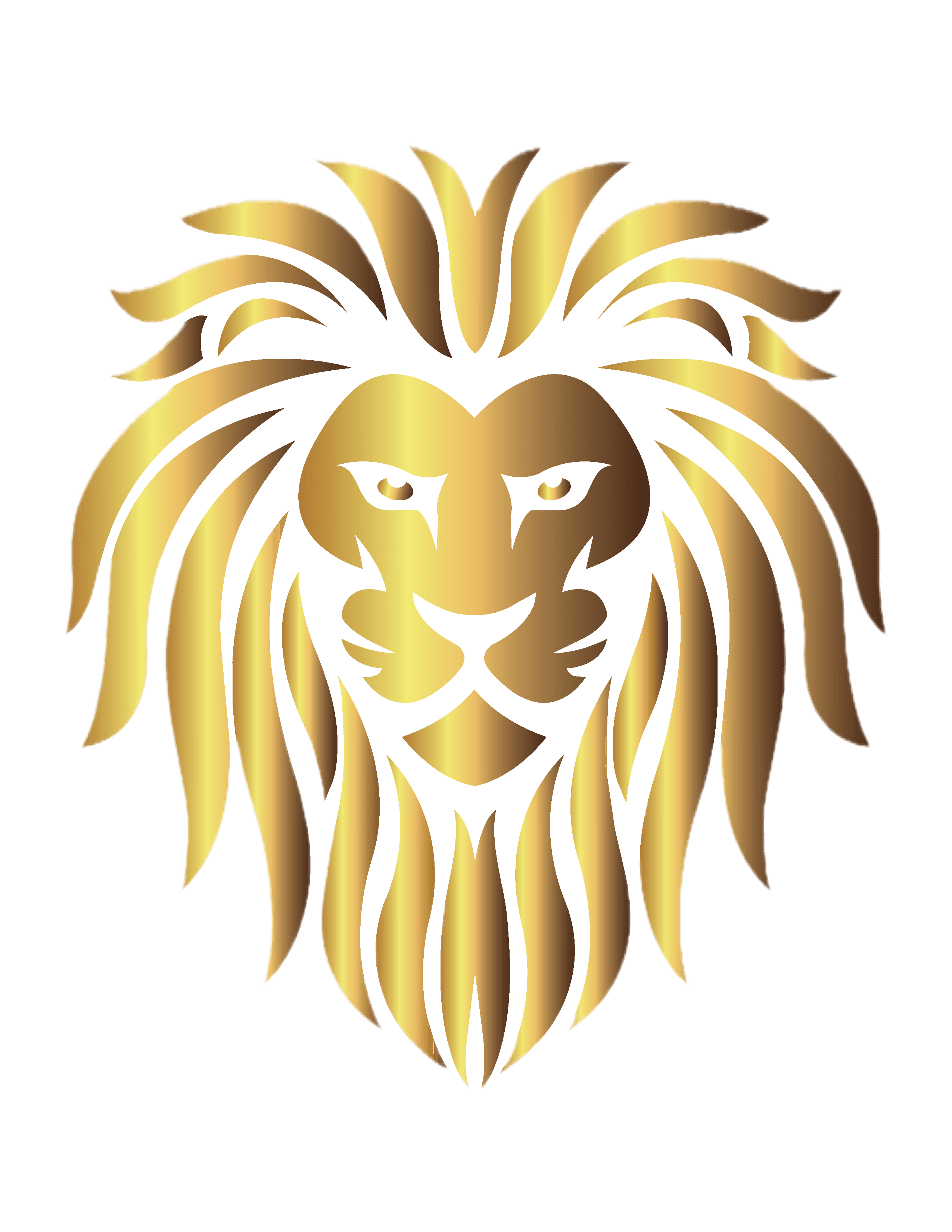 Lions Service Group, LLC