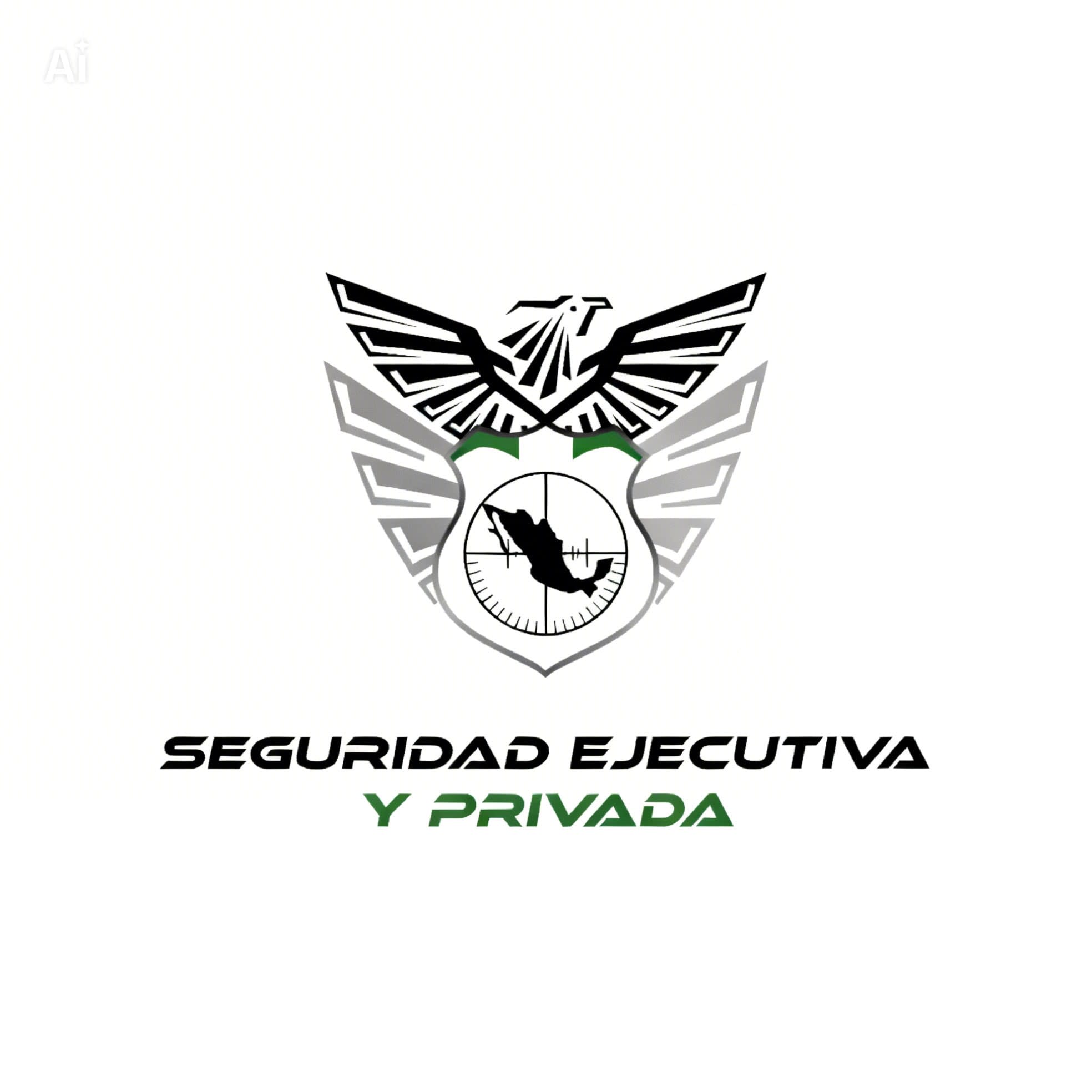 Seguridad Ejecutiva Y Privada