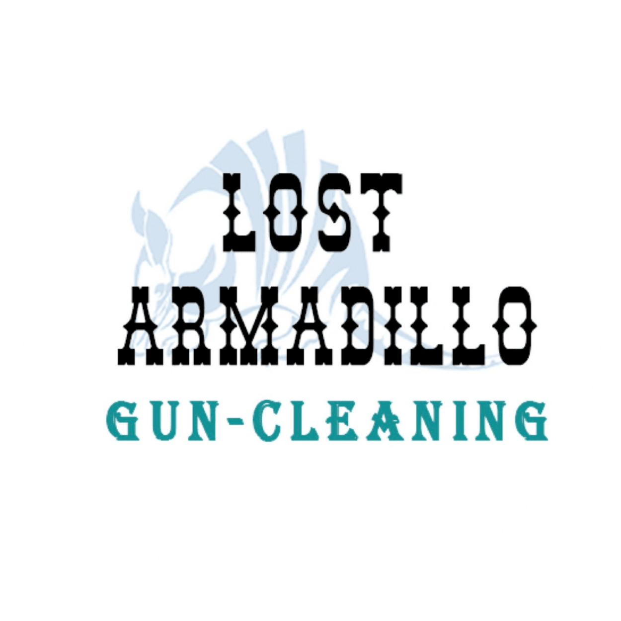 Lost Armadillo Gun-Cleaning