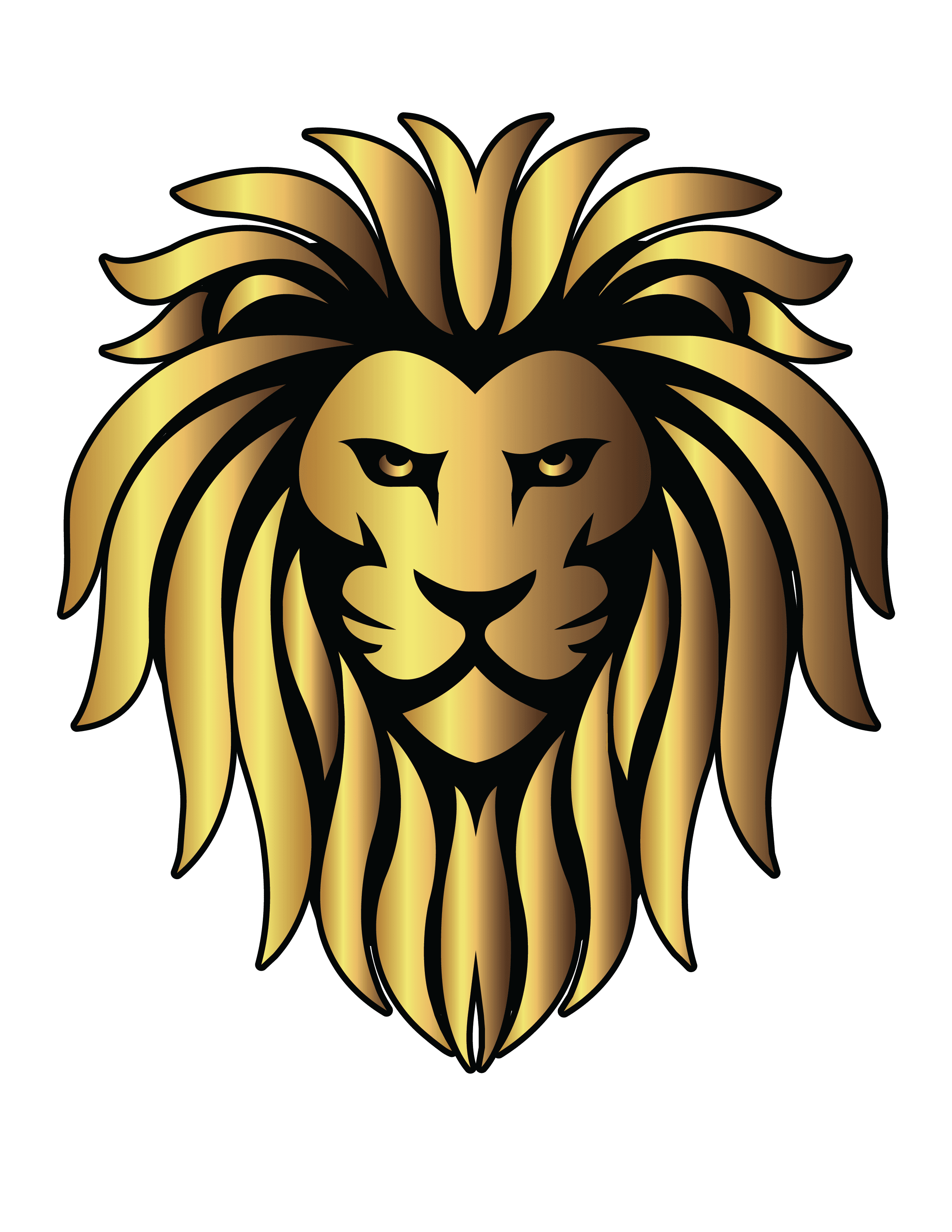 Lions Service Group, LLC