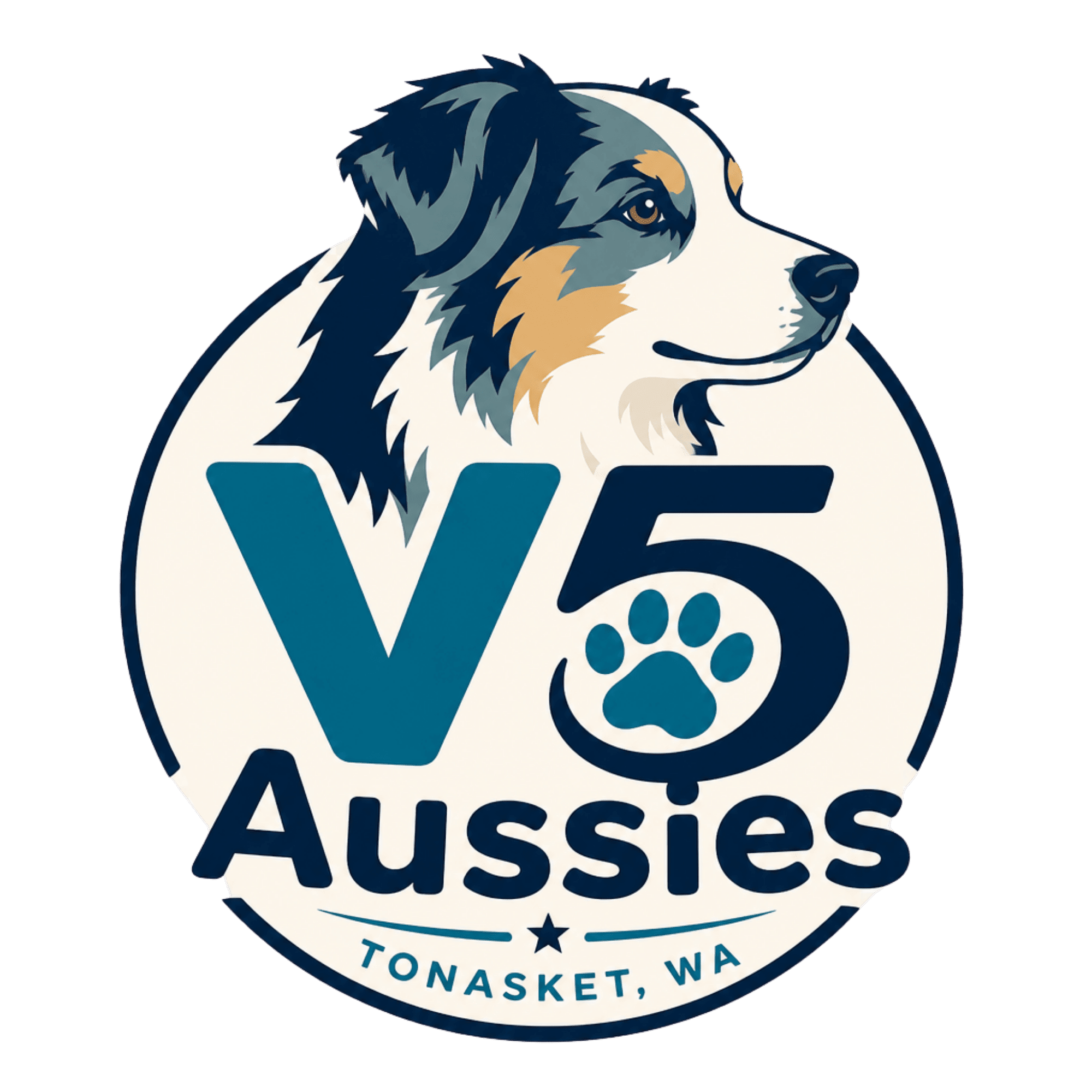 V5 Aussies